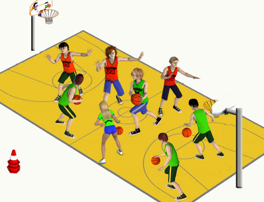 basket-epervier.jpg